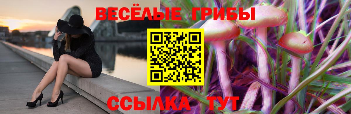 Псилоцибиновые грибы Psilocybe Феодосия