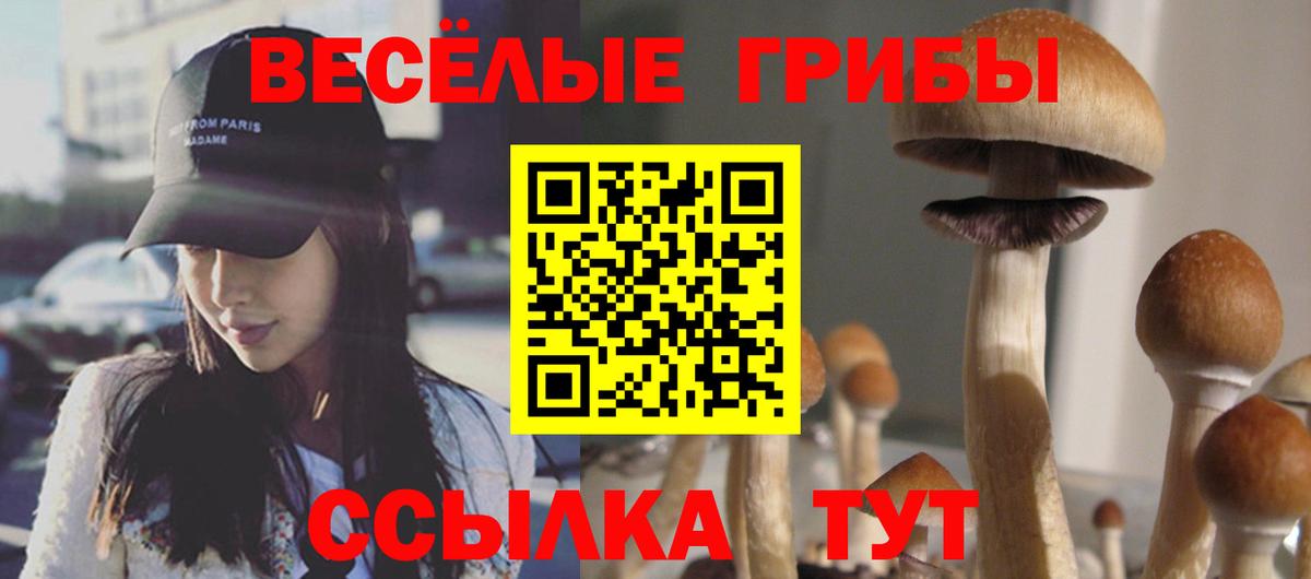 Псилоцибиновые грибы GOLDEN TEACHER  Вход с VPN  Феодосия 
