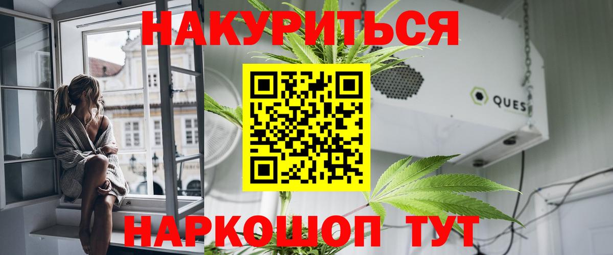Бошки марихуана сатива  МАРИХУАНА гибрид  Феодосия  Конопля планчик  Марихуана Amnesia  Вход с VPN 